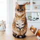 thumbnail image 4 of Gafas de sol de gato cobee, gafas de sol de gatito retro con R, 4 of 5