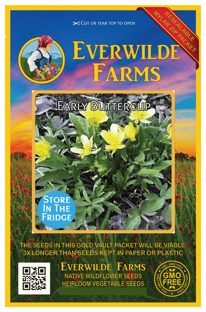 Everwilde Farms 40 Early Buttercup Native Wildflower Seeds Gold