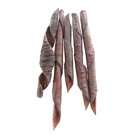 Pride of Barbados Pods (Includes 5 Pods)