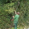 thumbnail image 3 of Fompes 2-in-1 Pole Hedge Trimmer Cordless 21V Electric Mini Trimmer Tool for Yard Detachable 13" Dual-Blade Telescoping Pole Dual 1.5Ah Battery Powerful Branches Cutter for Tree & Shrubs Pruning, 3 of 15