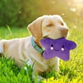 thumbnail image 3 of Dog Interative Star Shaped Squeaky for Cat Teaser Soft for Dogs Puppy Training, 3 of 4