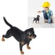 thumbnail image 1 of Figura de perro figura de decoración de perro estatua de simulación adorno educativo para la escuela ANGGREK Otros, 1 of 8