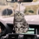 thumbnail image 1 of Colgante De Coche, Creatividad, Gato, Adornos Colgantes Para Coche, Espejo Retrovisor Para Coche, Gran Regalo Para Amigos Y Familiares Kearding VI012330-03, 1 of 5