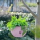 thumbnail image 4 of Maceta colgante para plantas de interior y exterior | Diseño con barrera de agua que previene la pudrición de las raíces | Maceta pequeña de plástico para suculentas, hiedra y rosas verdes, 4 of 6