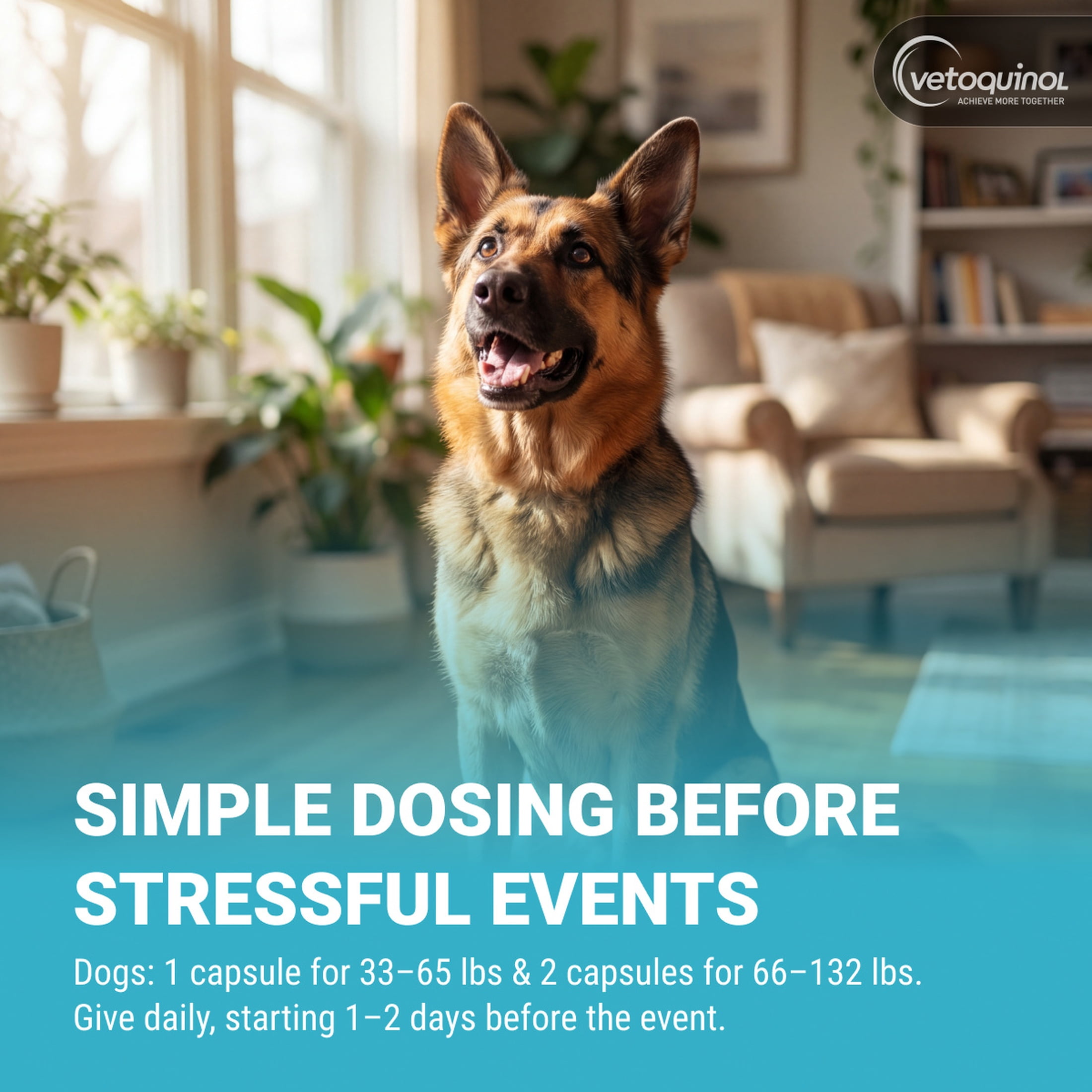 Vetoquinol Zylkene Calming Supplement for Dogs & Cats, Anxiety & Stress Relief, For Large Pets 65lbs+, 30 count