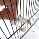 thumbnail image 1 of Accesorios para jaulas de pájaros para alimentación de mordeduras con clip para verduras y frutas, 2 piezas (yu-1) ShuxiuWang 8390614233423, 1 of 1