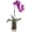 8.25”H x 5.38”W x 5”D, variant on Glass Orchid Pot, Metal Base - Semi-Hydro Planter
