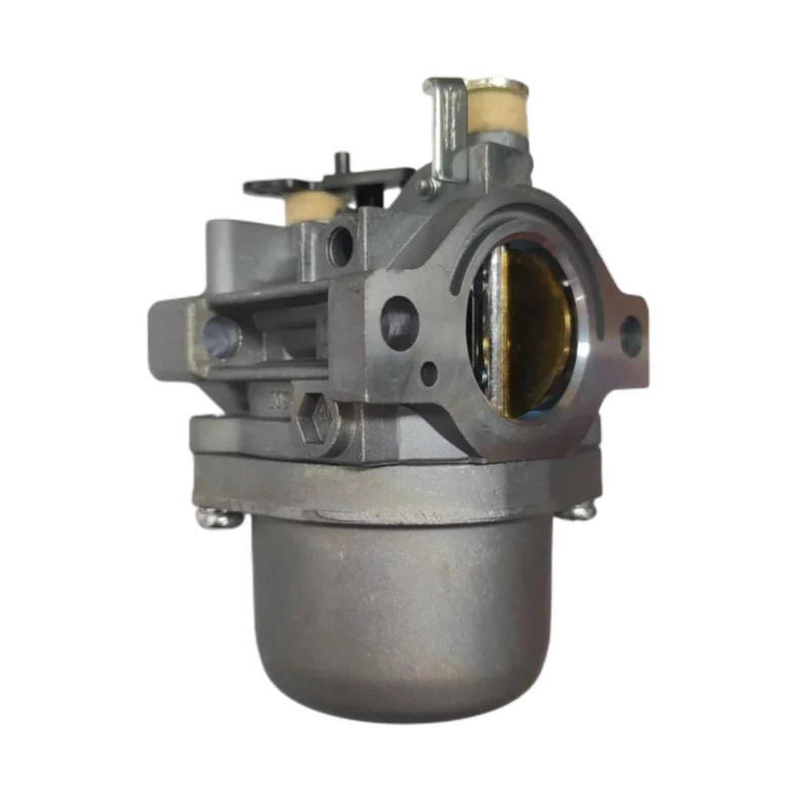 Briggs&Stratton 799728 498027 498231 499161 Carburetor for lawn mower BP27-1 with accessories
