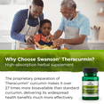 thumbnail image 5 of Swanson Theracurmin - High Absorption 100 mg 30 Veg Caps 4 Pack, 5 of 7