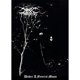 thumbnail image 1 of Póster Pintura Decorativa La Enterrada Arte La Pared para Bar 50x70cm, 1 of 9