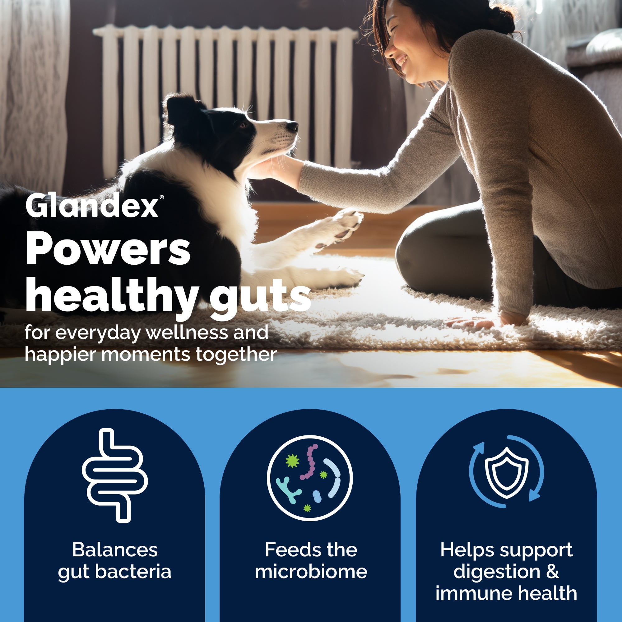 Vetnique Glandex Daily Prebiotic & Probiotic for Dogs, Gut & Immune Support Chews, 120ct