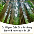 thumbnail image 4 of Dr. Killigan’s CedarWard Spray - 4 fl. oz. - Natural Cedar Oil Formula Restores Scent to Cedarwood Accessories, Closets, Drawers, Trunks, Chests, Pest and Moth Repellent for Clothes, 4 of 7