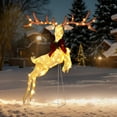 thumbnail image 3 of UBesGoo 5FT Outdoor Yard Decoration Set Christmas Reindeer with LED Light, 3 of 10