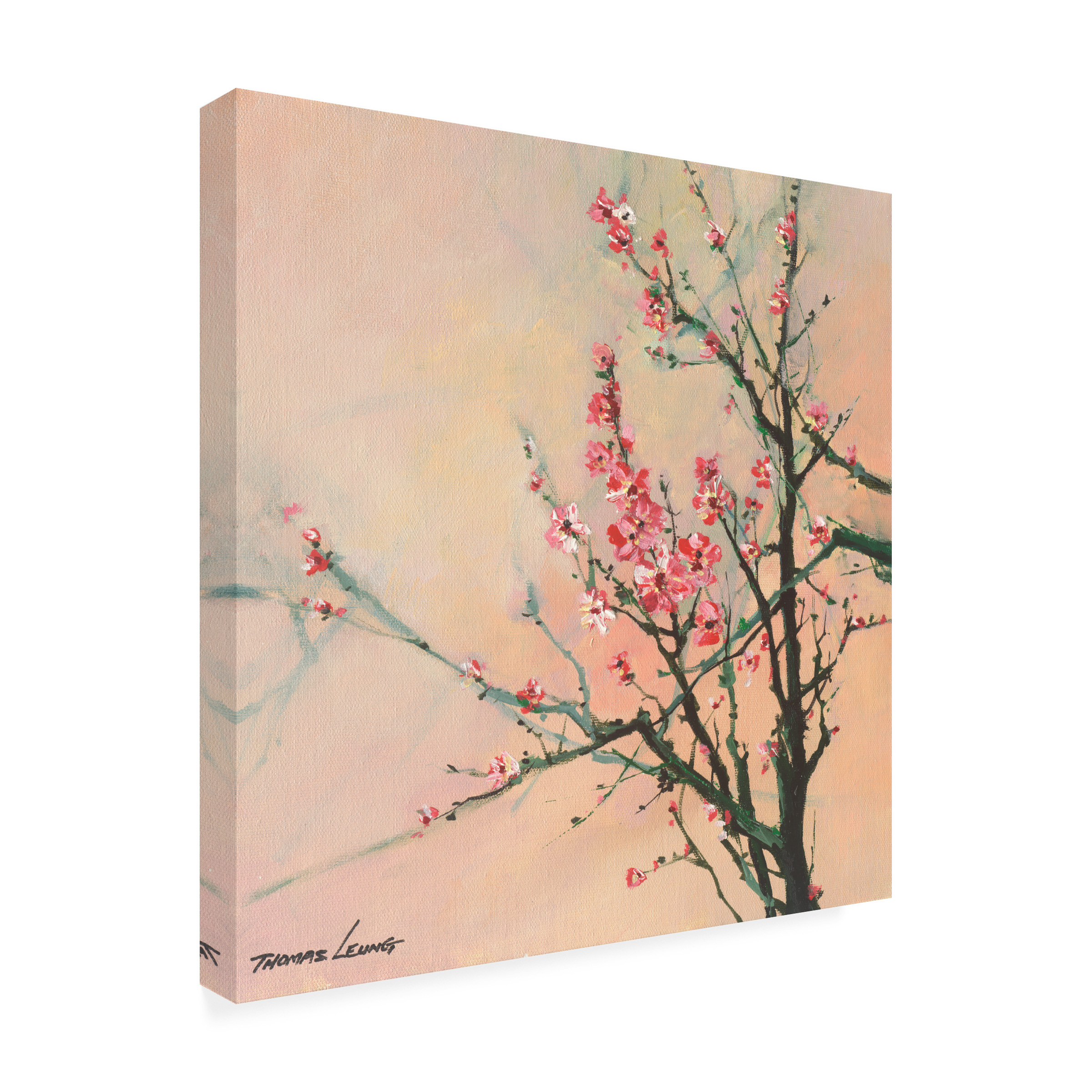 Canvas Wall Art - Thomas Leung 'Little Blossom' Wall Art for Living Room, Bedroom, or Office Décor by Trademark Fine Art - 24 x 24 Inches