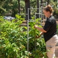 thumbnail image 2 of Vego Garden Modular Wall Trellis System 5.5' Long for 5.5' x 5.5' Standard Size L-Shaped Garden Beds, 2 of 10