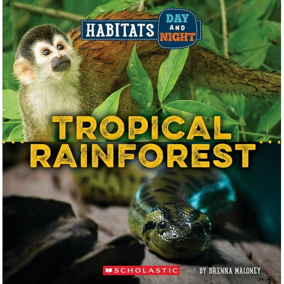 Wild World Tropical Rainforest (Wild World: Habitats Day and Night), (Paperback)