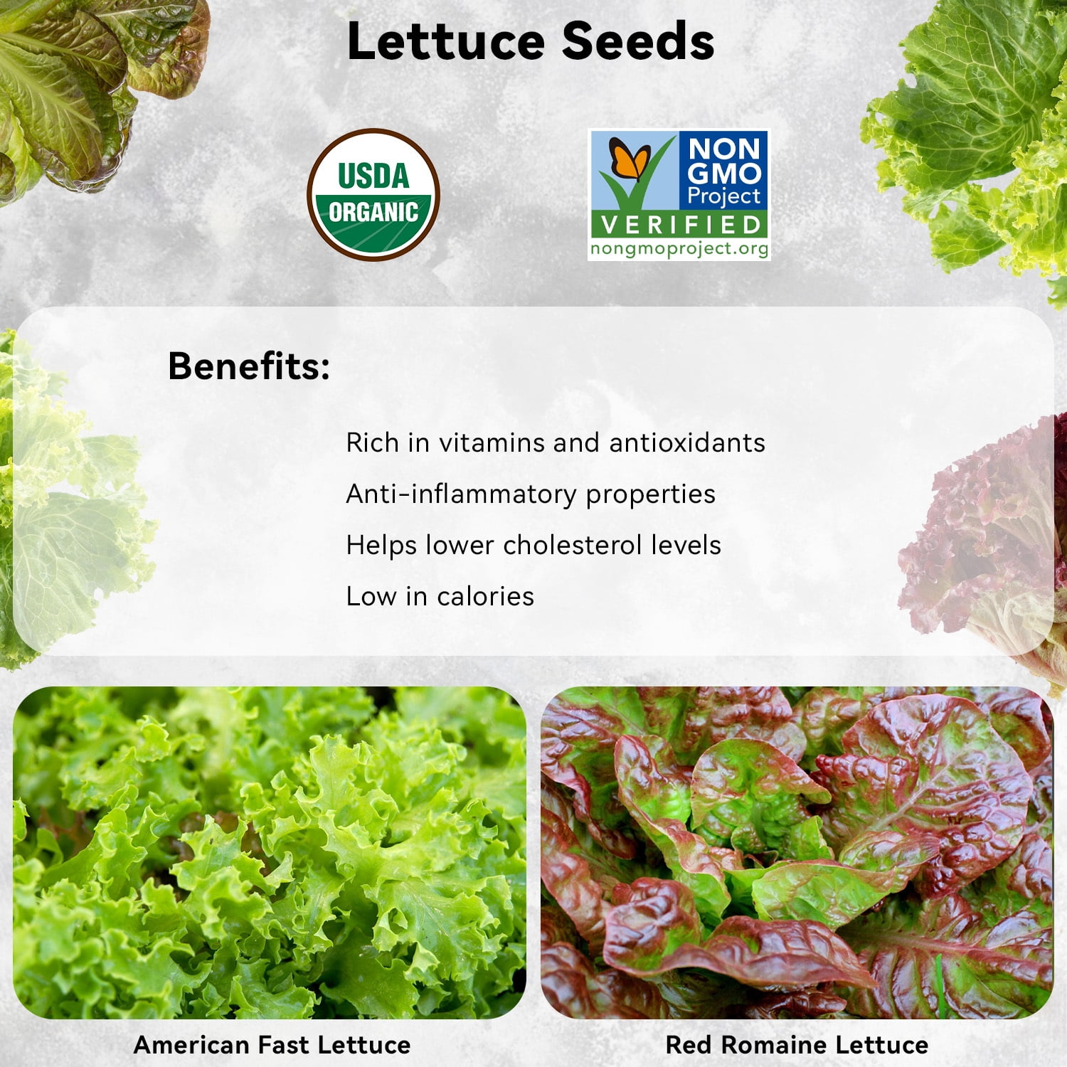 QUIVY Lettuce Seed Pod Kit for AeroGarden, Ahopegarden, iDOO Indoor Hydroponics, Includes 400+ Lettuce Seeds,16 pods