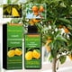 thumbnail image 4 of Xihbxyly Venta de Liquidación de Almacén Fertilizante Líquido Concentrado para Plantas de Mandarina, Limón y Suplemento de Fertilizantes Solución Nutritiva Equilibrada 100 Ml, 4 of 7