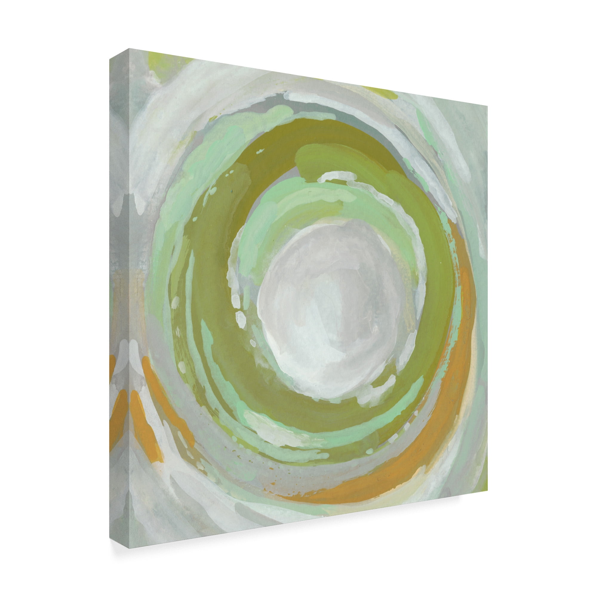 Trademark Fine Art 'Calculus I' Canvas Art by Chariklia Zarris