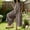 Brown, variant on Women's Loose-Fitting Linen Jumpsuit with Short Sleeves and Solid Color