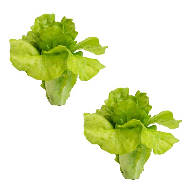 Real Touch Ornamental Lettuce Stem, Light GreenColorLight Green,Style