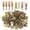 100.0, variant on 100Pcs Self Drilling Drywall Anchors with Screws, Ahier 50Pcs Metal Self-Drilling Anchors and 50Pcs Screws Kit, No Drill Or Holes in Wall for Fixing TV, Shelf, Cabinet, Curtains, Calligraphy