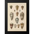 thumbnail image 2 of Wild Apple Portfolio 17x24 Black Modern Framed Museum Art Print Titled - Shell Assorment I, 2 of 5