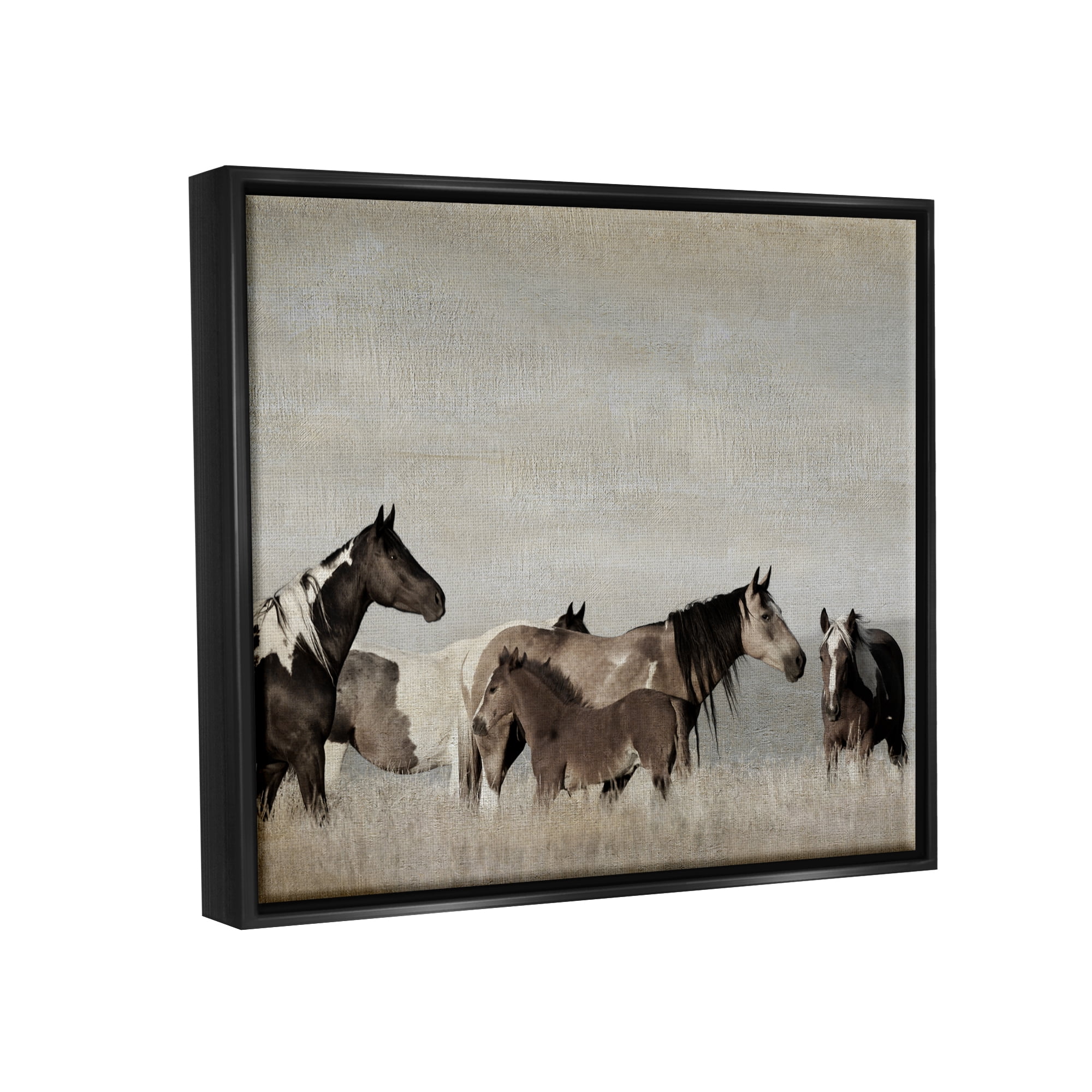 Stupell Industries Horse Herd with Foal Animals & Insects Photography Black Floater Framed Canvas Art Print Wall Art, 21 x 17