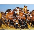 thumbnail image 4 of Pioneer Woman Pedestal Cake Plate & Glass Lid Jadeite Color 10 Inch, 4 of 4