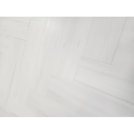 SB Tile and Stone Bianco Dolomite 3x12" Glossy Sample Tile