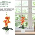 Tersarium Artificial Potted Flower Orchid Tabletop Artificial Potted