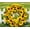 15.7in/40CM, variant on Artificial Sunflower Wreath 15.7/17.7/19.6in Summer Front Door Wreath Yellow Flower Wreath for Indoor Outdoor Farmhouse Wall Window Decor