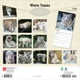 thumbnail image 2 of White Tigers | 2026 12x24" (Hanging) Wall Calendar | Plastic-Free | BrownTrout, 2 of 9