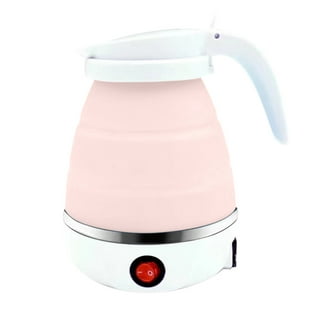 Dezin Electric Kettle, 0.8L Portable Travel Kettle with Double Wall  Construction, Stainless Steel Electric Tea Kettle for Business Trip, Small