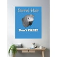 thumbnail image 2 of Parrot Hair, Don'T Care African Grey Parrot Design Poster Wall Art, Modern Wall Decor, 8x12 UNFRAMED, 2 of 3