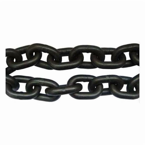 Dayton Chain, Grade 80, 9/32 Size, 40 ft., 3500 lb., Standards: NACM 5WRP9
