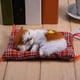 thumbnail image 4 of Simulación de niño durmiendo, juguete con sonido de gato, muñeco de peluche, decoración del hogar (amarillo + blanco) YUNYI BRAND  Deportes, 4 of 8