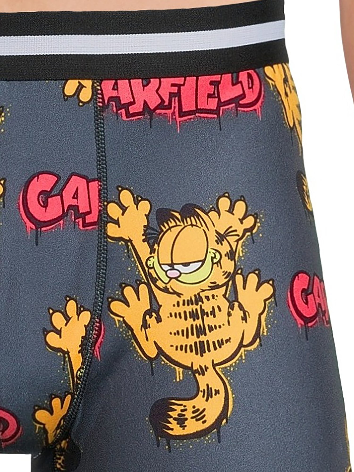 Garfield Men's Boxer Briefs, 2-Pack, Sizes S-2XL