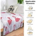 thumbnail image 4 of Flamingo Blanket Gifts - 50x40 Inches Cute Throw Blanket for Women & Girls - Pink Soft Plush Blankets for Crib, Couch & Travel, Gifts for Flamingo Lovers, 4 of 6