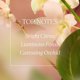 thumbnail image 3 of Neroli and Orchidee Shower Gel by LOccitane for Unisex - 8.4 oz Shower Gel, 3 of 5
