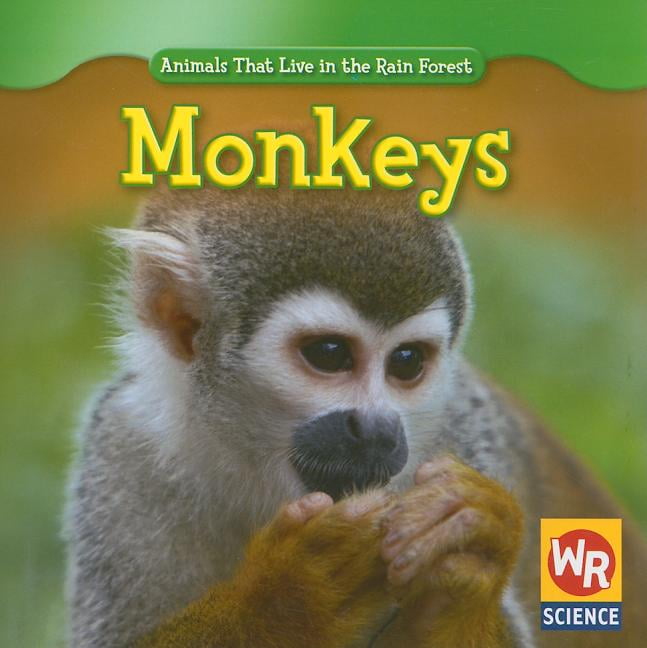 Animals That Live in the Rain Forest: Monkeys (Paperback) 