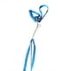 thumbnail image 1 of Methold Pet Bird Chaleco Correa Volar al aire libre Anti-mordedura Nylon Ajustable Bird Training Walking Leash Rope Aseo de mascotas azul, 1 of 6