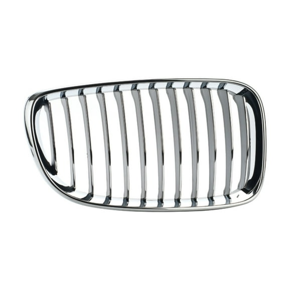 Parrilla TONG YANG 128i 2009 A 2012 Bmw lado Derecho Filo cromado