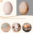 thumbnail image 3 of Freshest Egg Brush Cleaner, Egg Cleaner for Freshers Eggs, Beige, 3 of 5