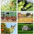 thumbnail image 3 of Red antipájaros, red de hojas, red para árboles, aves de corral, aviario, para protección de plantas de jardín, árboles frutales, flores, verduras, 7,5 mx 15 m, 3 of 5