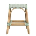 thumbnail image 6 of Butler Specialty Company Robias Rattan 24.5" Counter Stool - White And Green Dot, 6 of 6