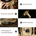 thumbnail image 5 of ROKR 424 Pieces Gramophone Model Wooden Puzzles, 5 of 6