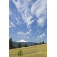 thumbnail image 2 of Paulson, Don 11x14 White Modern Wood Framed Museum Art Print Titled - WA, Columbia River Gorge Summer meadow landscape, 2 of 4
