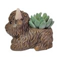 thumbnail image 4 of Xihbxyly Maceta de Vaca, Bonito Diseño de Resina, Resistente Al Agua, Multifuncional para Decoración Interior y Exterior, Ideal para Suculentas, Ideal Como Regalo. Tamaño: 13,8 X 10,3 X 10,4 Cm., 4 of 7