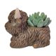 thumbnail image 4 of Maceta de resina para suculentas con forma de vaca lechera, 4 of 8